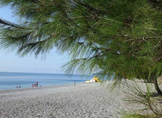 Pine beach Гостевой дом 2